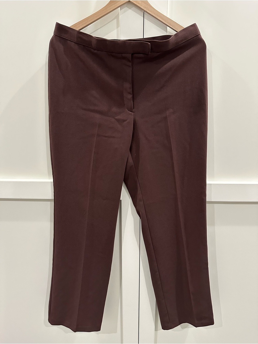 Sag Harbor Tailored Straight-Leg Pants in Brown/Coffee